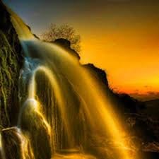 Abdurrahman Wahid profile picture