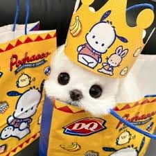 Wendy Armoko profile picture